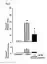 Fig. 04 - Therapeutic agent for substance dependence