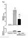 Fig. 05 - Therapeutic agent for substance dependence