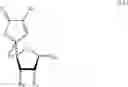 Fig. 10 - Sugar derivatives comprising oxiranes or α, β-unsaturated δ-lactones, process for their preparation and their utilisation as pesticides