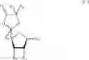 Fig. 13 - Sugar derivatives comprising oxiranes or α, β-unsaturated δ-lactones, process for their preparation and their utilisation as pesticides