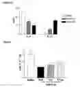 Fig. 04 - Immunotherapeutic agent