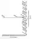 Fig. 09 - Fatty acid phenolic conjugates