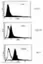 Fig. 12 - Fatty acid phenolic conjugates