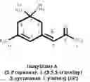 Fig. 01 - Anticonvulsant compounds
