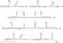 Fig. 07 - Crosslinkable biopolymer