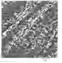 Fig. 01 - Polmer Blend of Non-Compatible Polymers