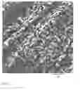 Fig. 03 - Polmer Blend of Non-Compatible Polymers