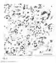 Fig. 04 - Polmer Blend of Non-Compatible Polymers
