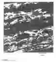 Fig. 07 - Polmer Blend of Non-Compatible Polymers