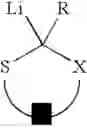 Fig. 02 - Use of sulfur containing initiators for anionic polymerization of monomers