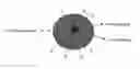 Fig. 01 - Bioactive Biomaterials for Controlled Delivery of Active Principles