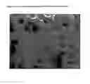 Fig. 16 - Bioactive Biomaterials for Controlled Delivery of Active Principles