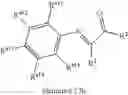 Fig. 63 - Diimine metal complexes, methods of synthesis, and methods of using in oligomerization and polymerization