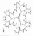 Fig. 04 - Dendrimers