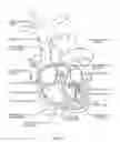 Fig. 02 - Trans-Septal Heart Assist Devices and Methods of Use