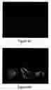 Fig. 06 - ENDOSCOPE