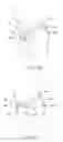 Fig. 08 - Absorbent article having an anchored core assembly