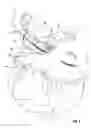 Fig. 07 - HAIR REMOVAL APPLIANCE AND METHOD OF USING SAME