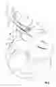 Fig. 08 - HAIR REMOVAL APPLIANCE AND METHOD OF USING SAME