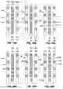 Fig. 22 - Selecting electrode combinations for stimulation therapy