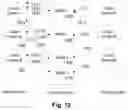 Fig. 13 - Method and system for dynamic list prioritization
