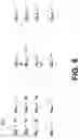 Fig. 09 - Apparatus, method, and file format for text with synchronized audio
