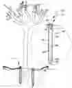 Fig. 01 - Tree watering systems
