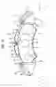 Fig. 09 - Pad clip for disc brake