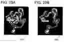 Fig. 37 - Hybrid segmentation of anatomical structure