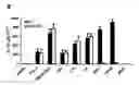 Fig. 01 - Methods and compositions for mediation of immune responses and adjuvant activity