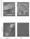 Fig. 01 - Agent for enhancing contrast of image of fluorescent staining of lumen of digestive tract