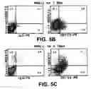 Fig. 06 - Antagonists of interleukin-15