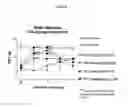 Fig. 02 - Pro-drugs of adenosine receptor agonists