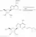 Fig. 09 - Pro-drugs of adenosine receptor agonists