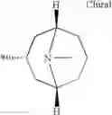 Fig. 482 - Compounds