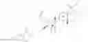 Fig. 232 - Antifungal agents