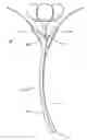 Fig. 01 - Curtain clip