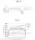 Fig. 04 - Optical functional sheet, and display device