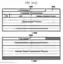 Fig. 15 - Selective header field dispatch in a network processing system