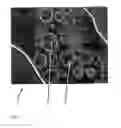 Fig. 08 - Method for processing a digital gray value image so that a reduced image noise and simultaneously a higher image sharpness is achieved