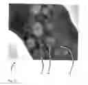Fig. 13 - Method for processing a digital gray value image so that a reduced image noise and simultaneously a higher image sharpness is achieved