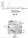 Fig. 03 - Antiglare coating and articles