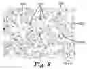 Fig. 04 - Antiglare coating and articles