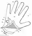 Fig. 01 - PROTECTIVE DISPOSABLE HAND COVERING
