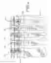 Fig. 02 - Illuminated shower hook