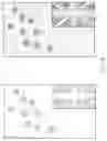 Fig. 09 - Method and apparatus for digitally printing on textile articles