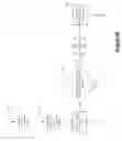 Fig. 06 - Engine backpressure compensation system for stable emissions