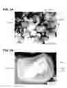 Fig. 02 - TiCN-base cermet and cutting tool and method for manufacturing cut article using the same
