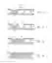 Fig. 12 - LIQUID-CONTAINING FILM STRUCTURE