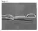 Fig. 02 - Modified polytetrafluoroethylene fine powder and modified polytetrafluoroethylene molded product